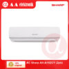 AC Sharp AH-A18ZCY (2pk)